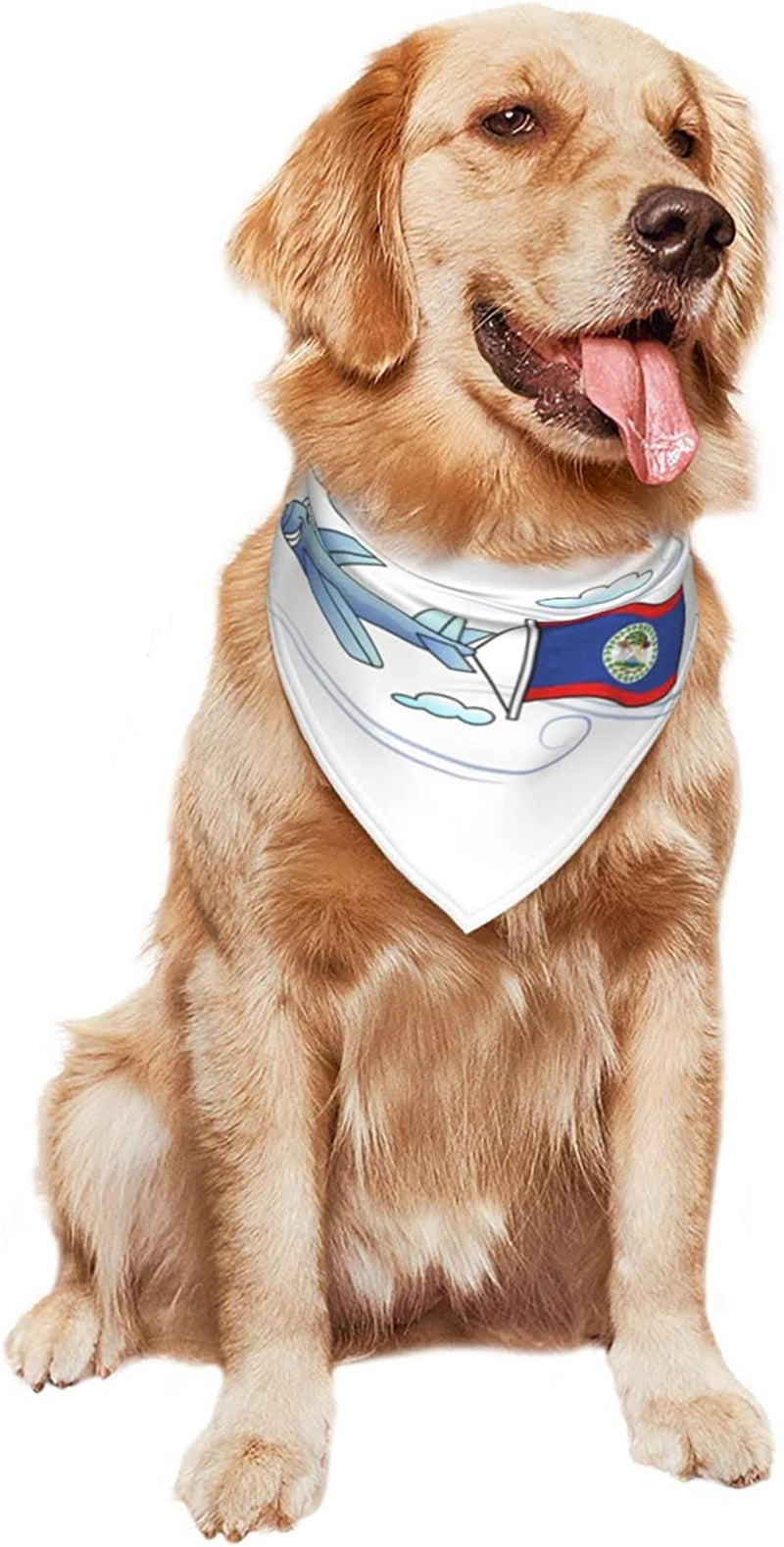 Airplane with Flag Belize Pet Dog and Cat Decorative Triangle Scarf,Dog Bandana,Breathable and Stain Resistant. Animals & Pet Supplies > Pet Supplies > Dog Supplies > Dog Apparel ZALTAS   