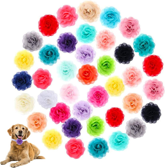 Dog Collar Flowers, Cooyeah 40 Pieces Pet Bow Tie Flower Collars Dogs Charms Flower Bowtie for Cat Puppy Pets Collar Grooming Accessories Animals & Pet Supplies > Pet Supplies > Dog Supplies > Dog Apparel Cooyeah-123   