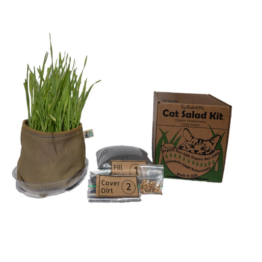 Organic Cat Grass Kit (Cat Salad) Organic Greens, Eco-Friendly, Brand: the Rude Kitty Animals & Pet Supplies > Pet Supplies > Cat Supplies > Cat Treats The Rude Kitty   