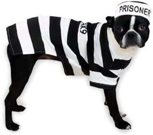 Casual Canine Prison Pooch Costume, Xx-Large Animals & Pet Supplies > Pet Supplies > Dog Supplies > Dog Apparel PetEdge Dealer Services XX-Large  