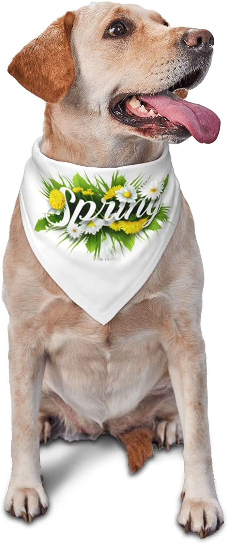 Hello Spring Floral Season Border Pet Dog and Cat Decorative Triangle Scarf,Dog Bandana,Breathable and Stain Resistant. Animals & Pet Supplies > Pet Supplies > Dog Supplies > Dog Apparel ZALTAS   