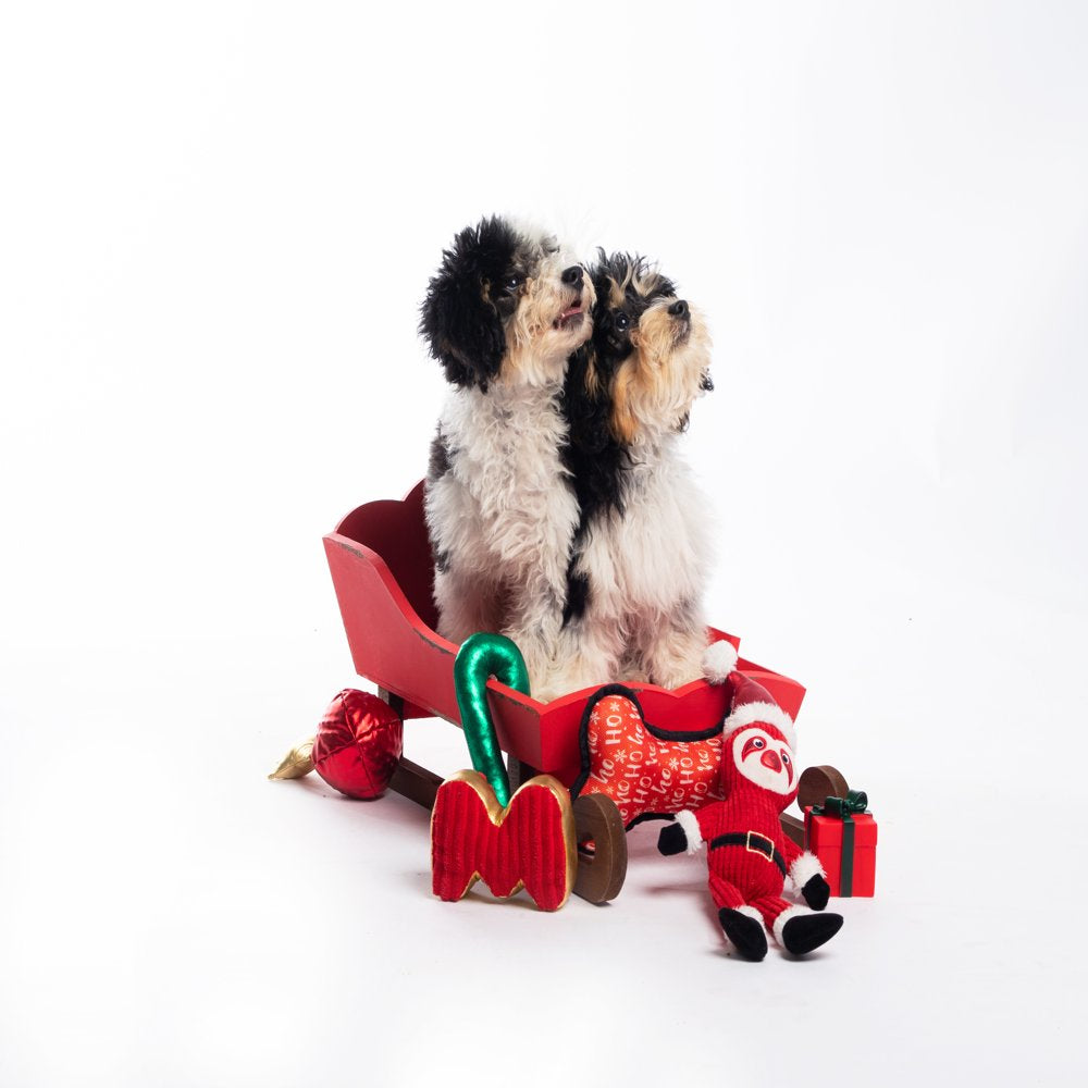 Wag and Wiggle 6 Piece Holiday Dog Toy Set Animals & Pet Supplies > Pet Supplies > Dog Supplies > Dog Toys NA   