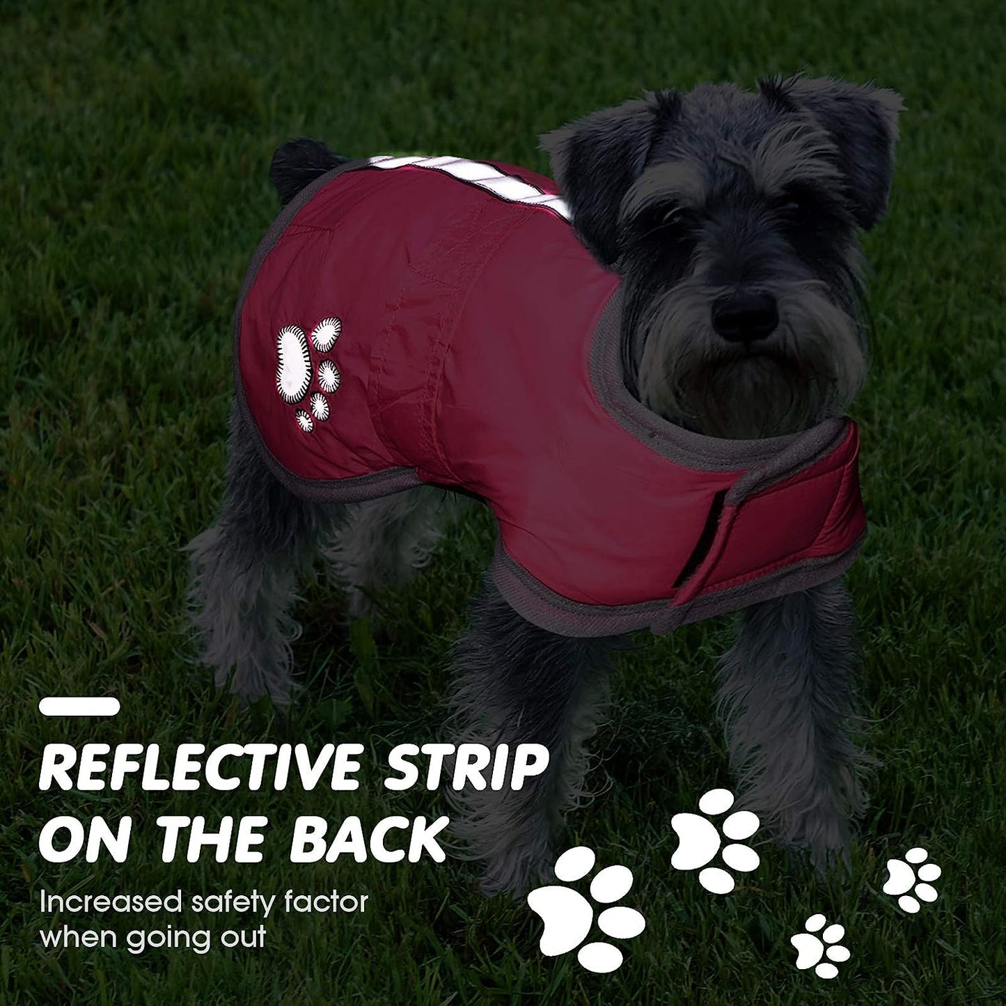 2 Pieces Winter Dog Coat Reflective Dog Jacket Fleece Lining Pet Vest Outfit Clothes Waterproof Windproof Cold Weather Jacket Warm Winter Dog Apparel for Small Dogs (S) Animals & Pet Supplies > Pet Supplies > Dog Supplies > Dog Apparel Geyoga   