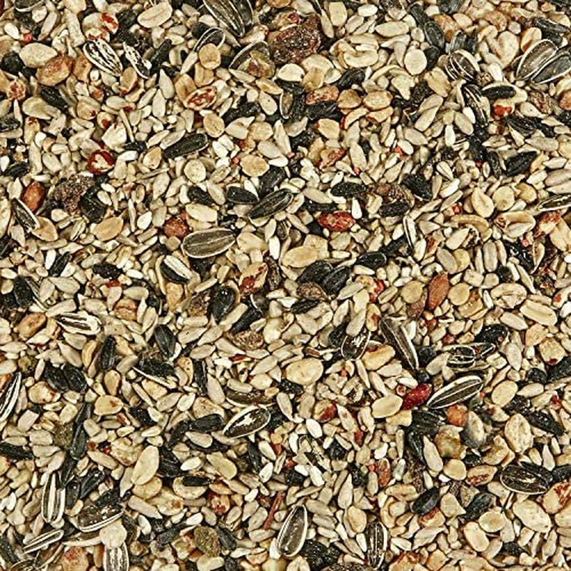 Kaytee Wild Bird Food Nut & Fruit Seed Blend for Cardinals, Chickadees, Nuthatches, Woodpeckers and Other Colorful Songbirds, 5 Pounds Animals & Pet Supplies > Pet Supplies > Bird Supplies > Bird Food Rehoboth Tradings LLC   