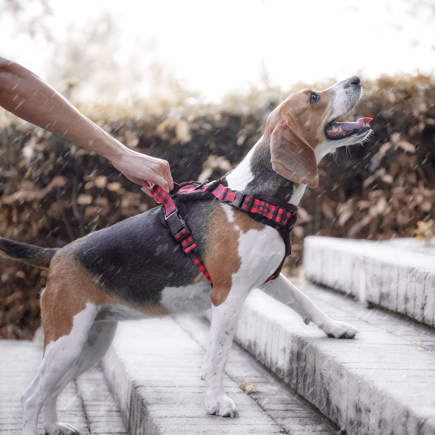 Poypet Plush Dog Harness, Soft Padded No Pull Vest Harness, Reflective Adjustable Escape Proof with Easy Control Handle for Small Medium Large Dogs(Checkered Red,L) Animals & Pet Supplies > Pet Supplies > Dog Supplies > Dog Apparel PoyPet   