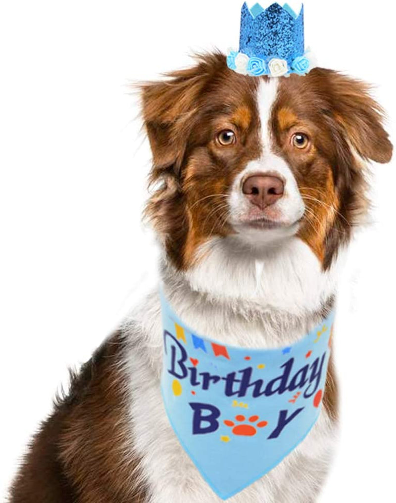 Dog Birthday Bandana Boy Scarf and Crown Dog Birthday Hat, Flower Headwear for Medium to Large Dogs Blue Animals & Pet Supplies > Pet Supplies > Dog Supplies > Dog Apparel Barleygoo   