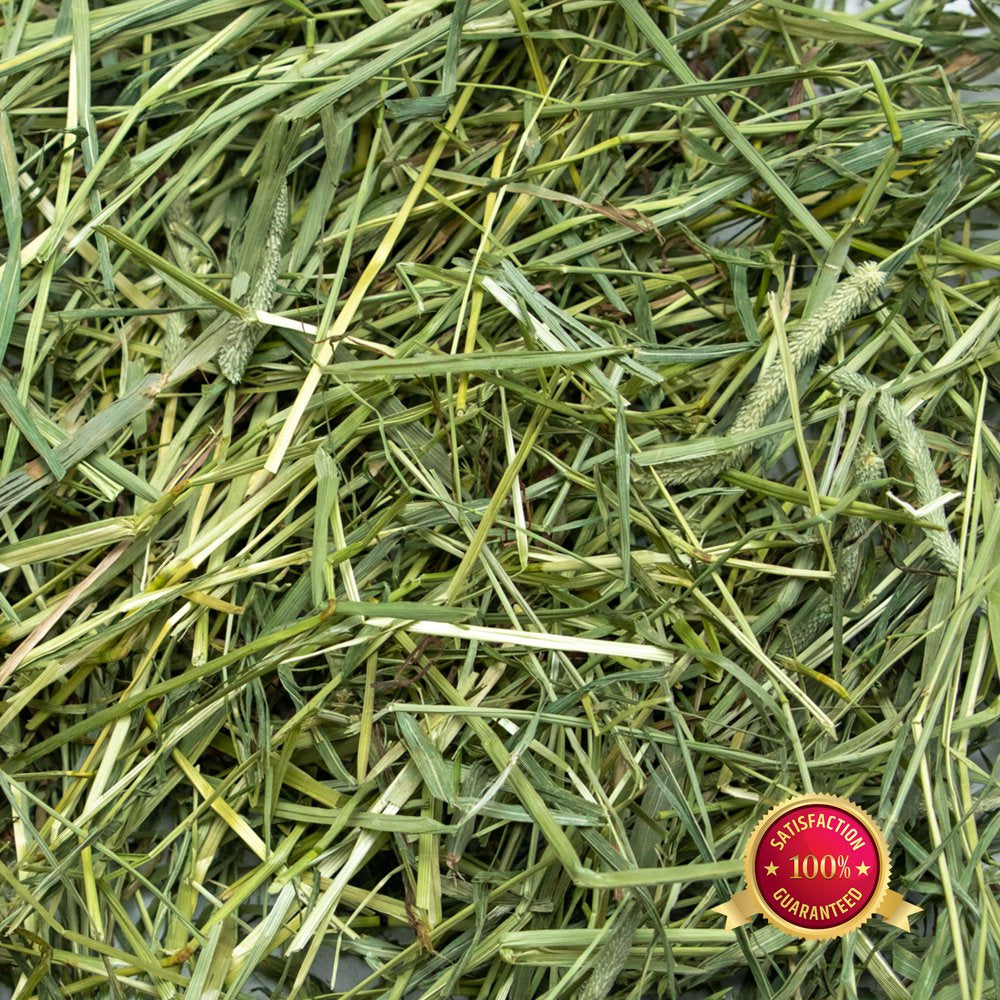 Rabbit Hole Hay, Ultra Premium Coarse Timothy Hay; 5Lb Box
