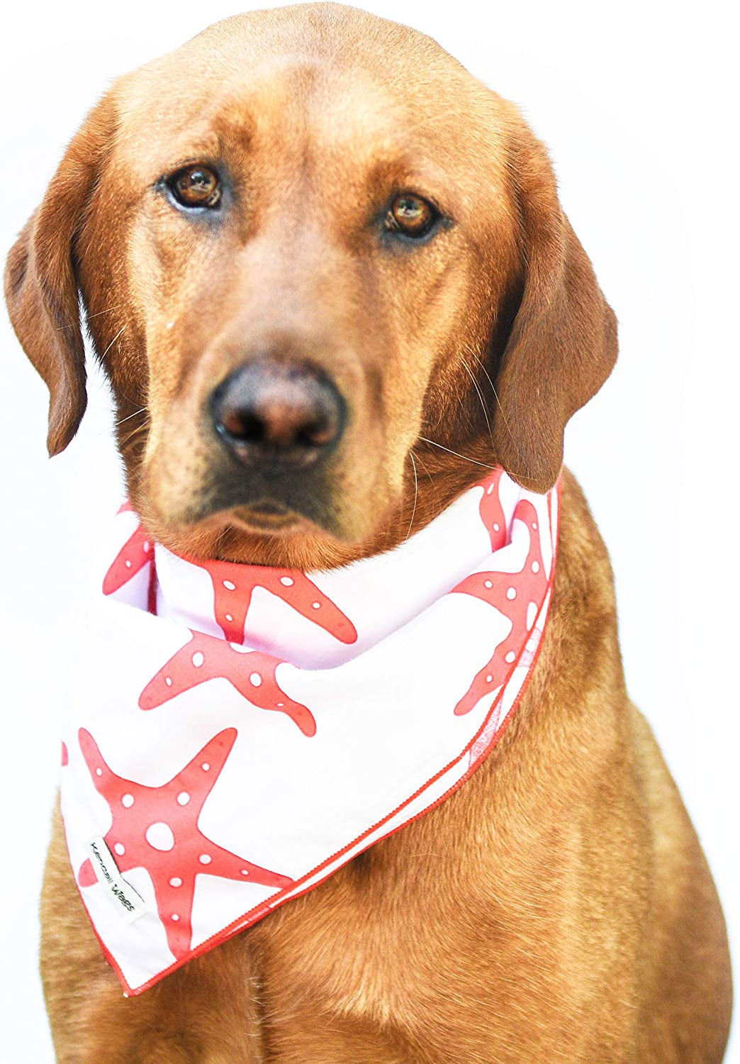 Kendall Wags Summer Nautical Dog Bandanas Pet Scarf Accessories for Large Medium Small Dogs - 4Th of July Animals & Pet Supplies > Pet Supplies > Dog Supplies > Dog Apparel Kendall Wags Starfish Large 