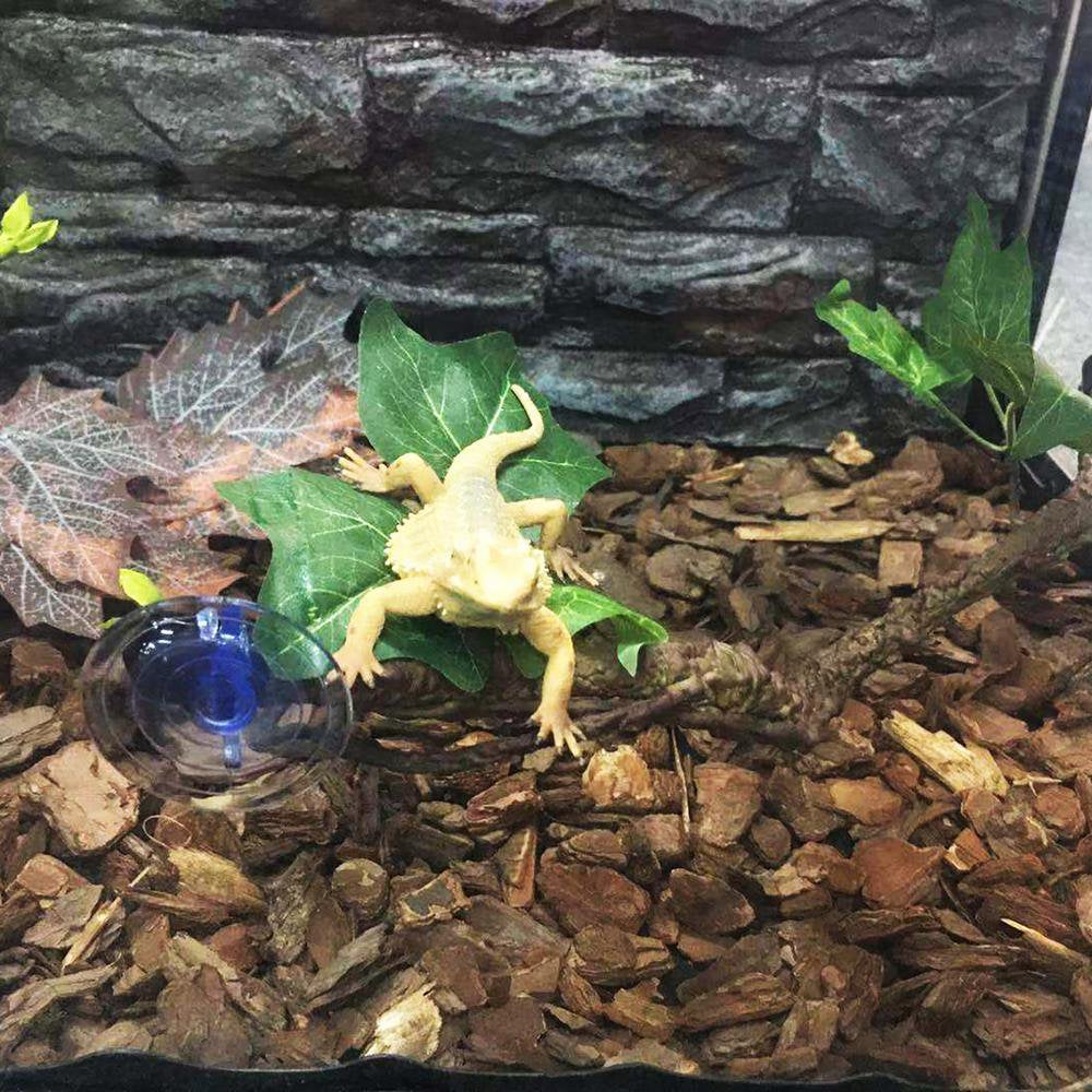 Ksruee 2Pcs 17.7In Reptile Corner Branch Vines Plants | Terrarium Plant Decoration with Suction Cup | Habitat Decor Accessories for Climbing, Lizard, Bearded Dragon, Chameleon, Lizards, Snakes