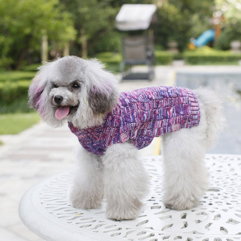 Small Dog Sweater, Warm Pet Sweater, Cute Knitted Classic Dog Sweaters for Small Dogs, Cat Sweater Dog Sweatshirt Clothes Coat Apparel for Small Dog Puppy Animals & Pet Supplies > Pet Supplies > Dog Supplies > Dog Apparel Autmor   