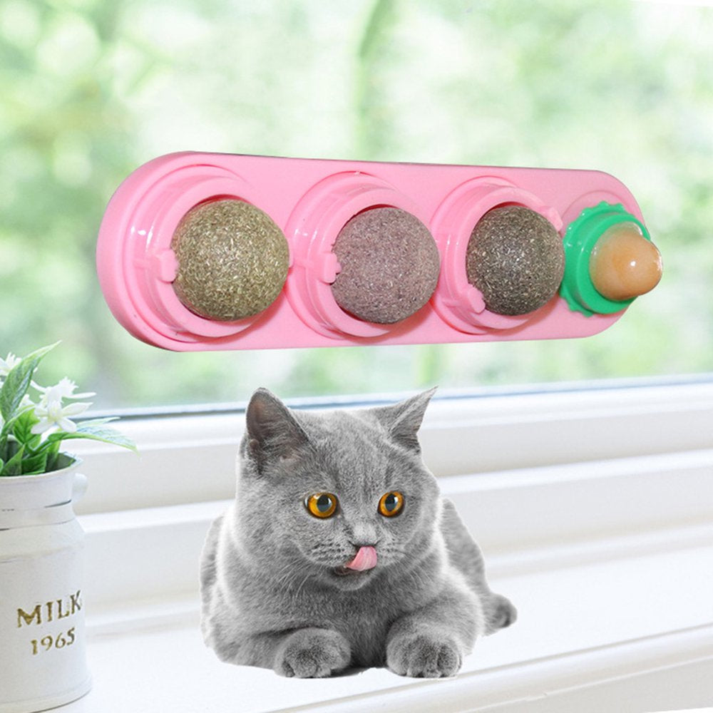 Cat Wall Mount Chew Toys Dental Care Chewing for Teeth Cleaning Cat Treat Toys