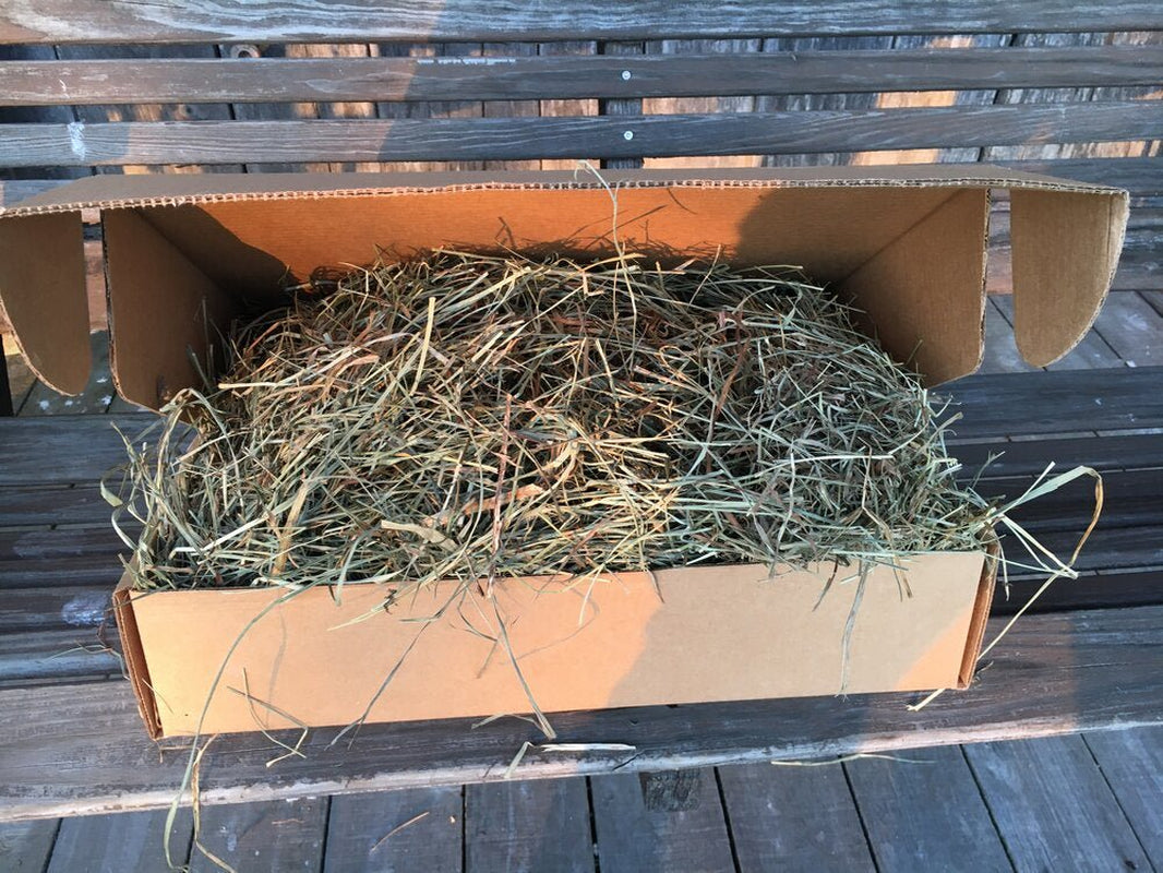 Taul Farms Certified Organic Premium Orchard Grass Clover Hay for Rabbits & Small Pets Animals & Pet Supplies > Pet Supplies > Small Animal Supplies > Small Animal Food Taul Farms 2.5 lbs  