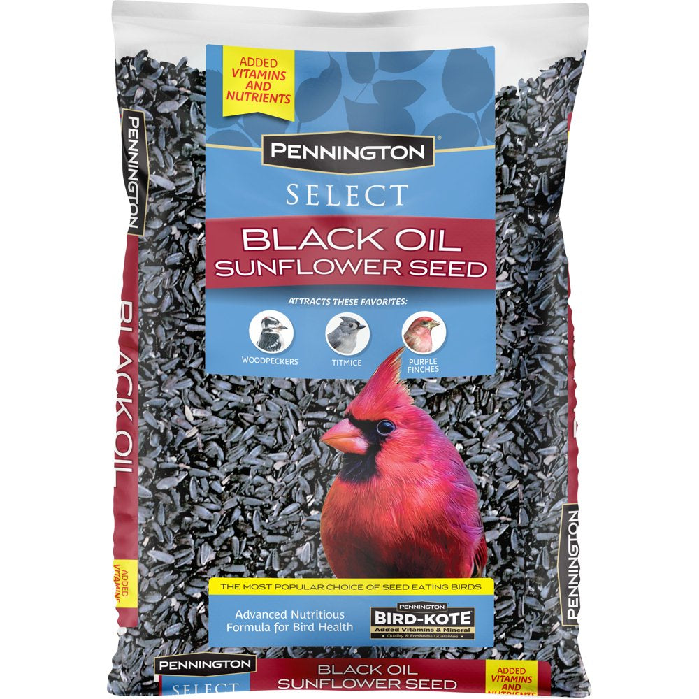 Pennington Select Black Oil Sunflower Seed Wild Bird Feed, 20 Lb. Bag Animals & Pet Supplies > Pet Supplies > Bird Supplies > Bird Food CENTRAL GARDEN & PET COMPANY 10 lbs  