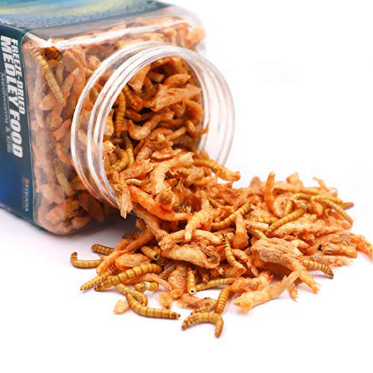 Aquatic Turtle Medley Food - Freeze Dried Shrimp & Mealworms for Aquatic Turtle, Beard Dragon and Other Reptiles & Amphibians Animals & Pet Supplies > Pet Supplies > Reptile & Amphibian Supplies > Reptile & Amphibian Food Sequoia   