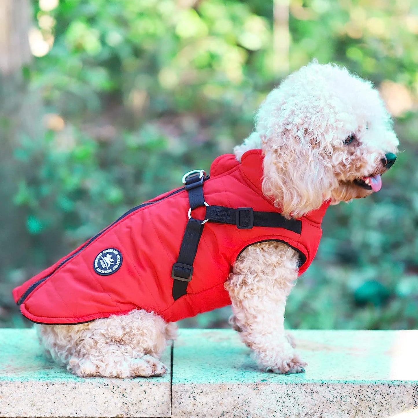 Norbi Pet Warm Jacket Small Dog Vest Harness Puppy Winter 2 in 1 Outfit Cold Weather Coat (M, Red) Animals & Pet Supplies > Pet Supplies > Dog Supplies > Dog Apparel Norbi   