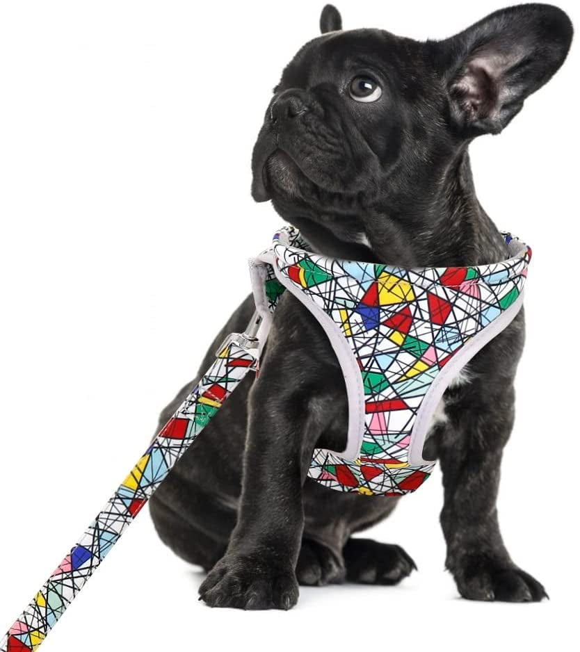 SXNBH Reflective Dog Harness Soft Mesh Pet Puppy Harness Leash Set Fashion Printed Small Medium Dogs Vest Harnesses French Bulldog ( Color : E , Size : Small ) Animals & Pet Supplies > Pet Supplies > Dog Supplies > Dog Apparel chuju E Small 