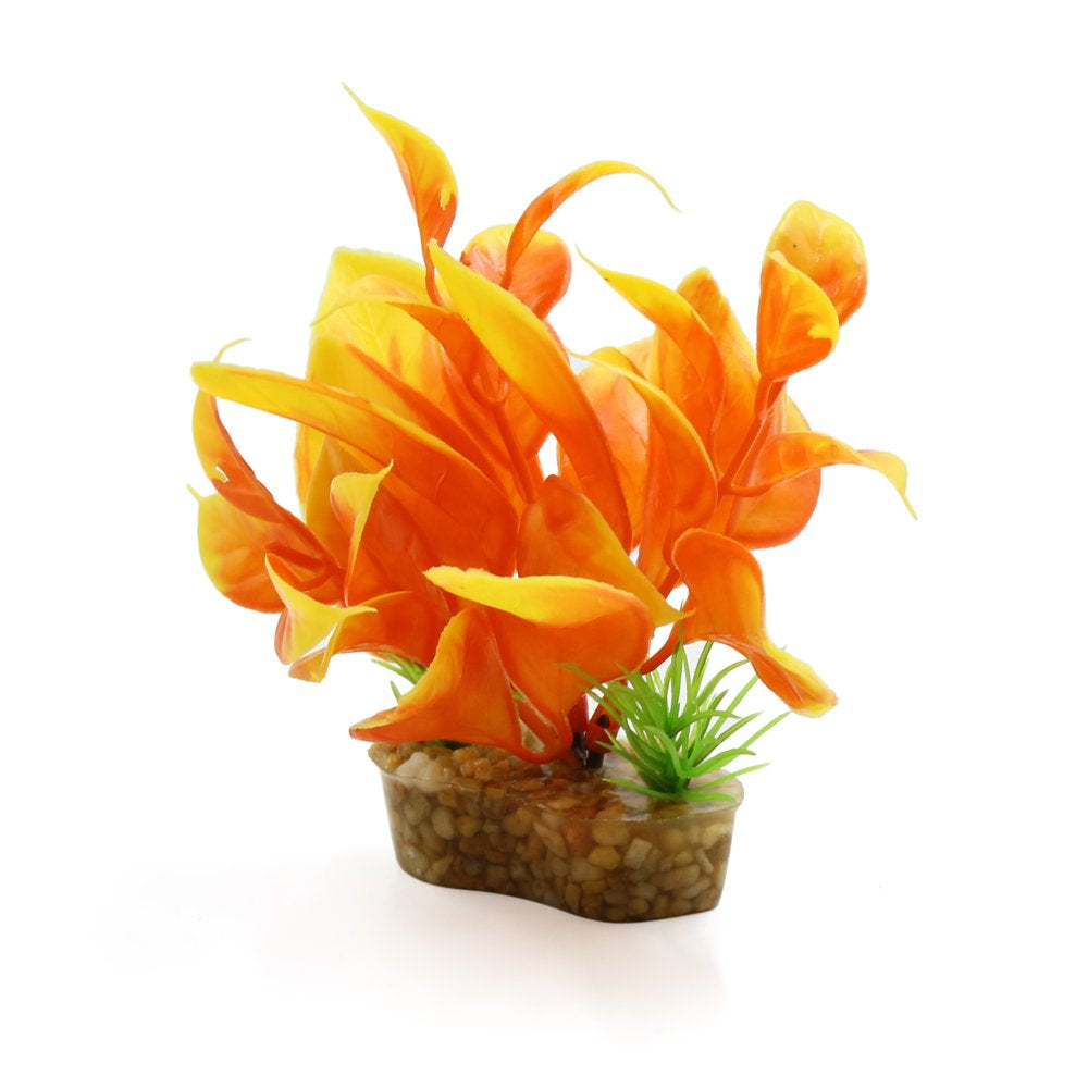 Ceramic Base Plastic Mini Plant Terrarium Habitat for Reptiles Amphibians Animals & Pet Supplies > Pet Supplies > Small Animal Supplies > Small Animal Habitat Accessories Unique Bargains   