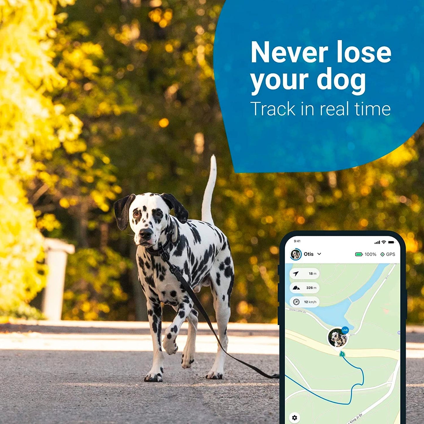 Tractive GPS Tracker for Dogs - Waterproof, GPS Location & Smart Pet Activity Tracker, Unlimited Range, Works with Any Collar (White) Animals & Pet Supplies > Pet Supplies > Dog Supplies > Dog Apparel Tractive GmbH   