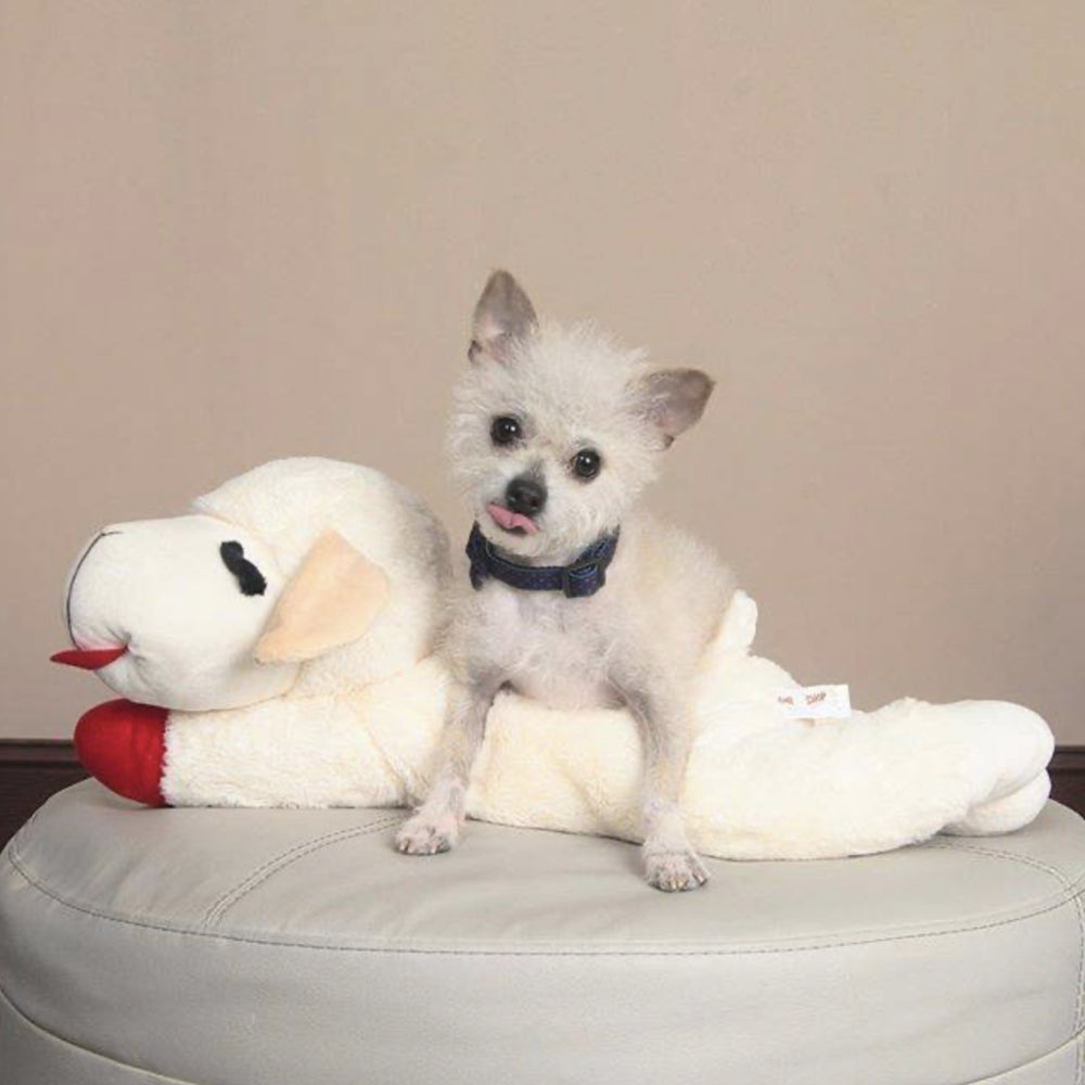 Multipet Lamb Chop Plush Dog Toy, Squeaker Inside, Jumbo Size, 24 Inches Animals & Pet Supplies > Pet Supplies > Dog Supplies > Dog Toys Multipet   