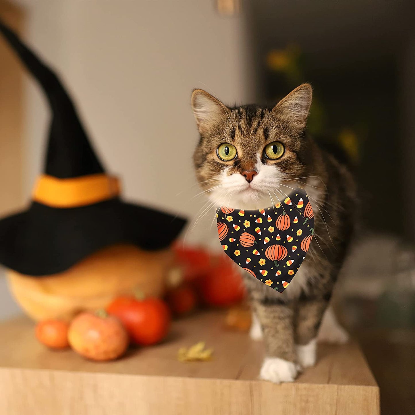 2 Pack Halloween Dog Bandana, Holiday Cat Pumpkin Candy Corn Bandana Bibs Scarf Accessories for Small Mediun Large Dogs and Cats Pets Puppies (Large) Animals & Pet Supplies > Pet Supplies > Dog Supplies > Dog Apparel Pohshido   