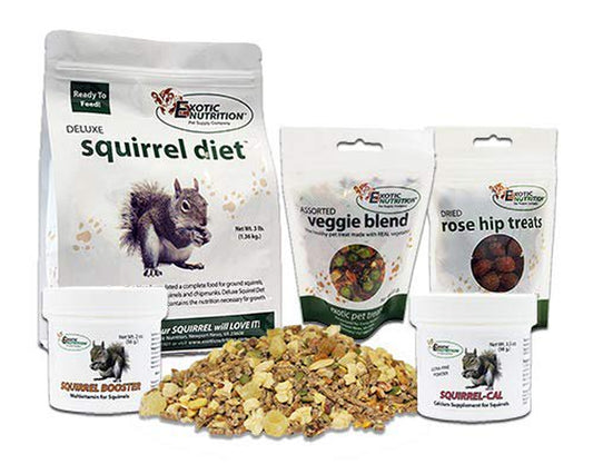 Exotic Nutrition Squirrel Food Starter Package