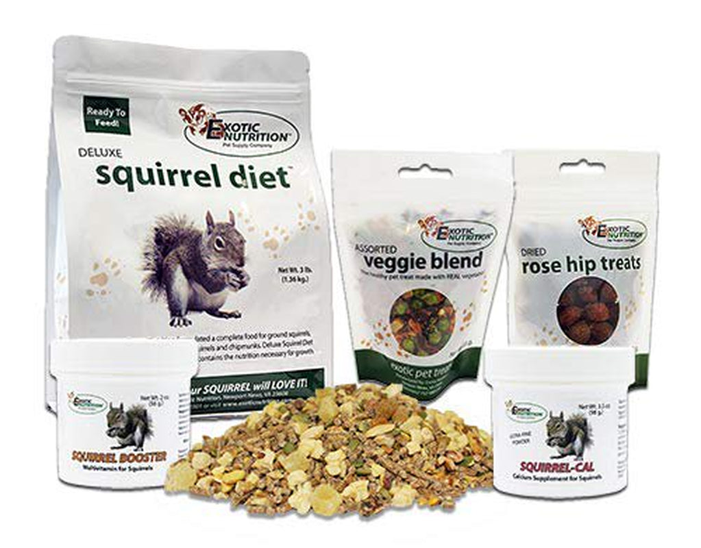 Exotic Nutrition Squirrel Food Starter Package Animals & Pet Supplies > Pet Supplies > Small Animal Supplies > Small Animal Food Exotic Nutrition   