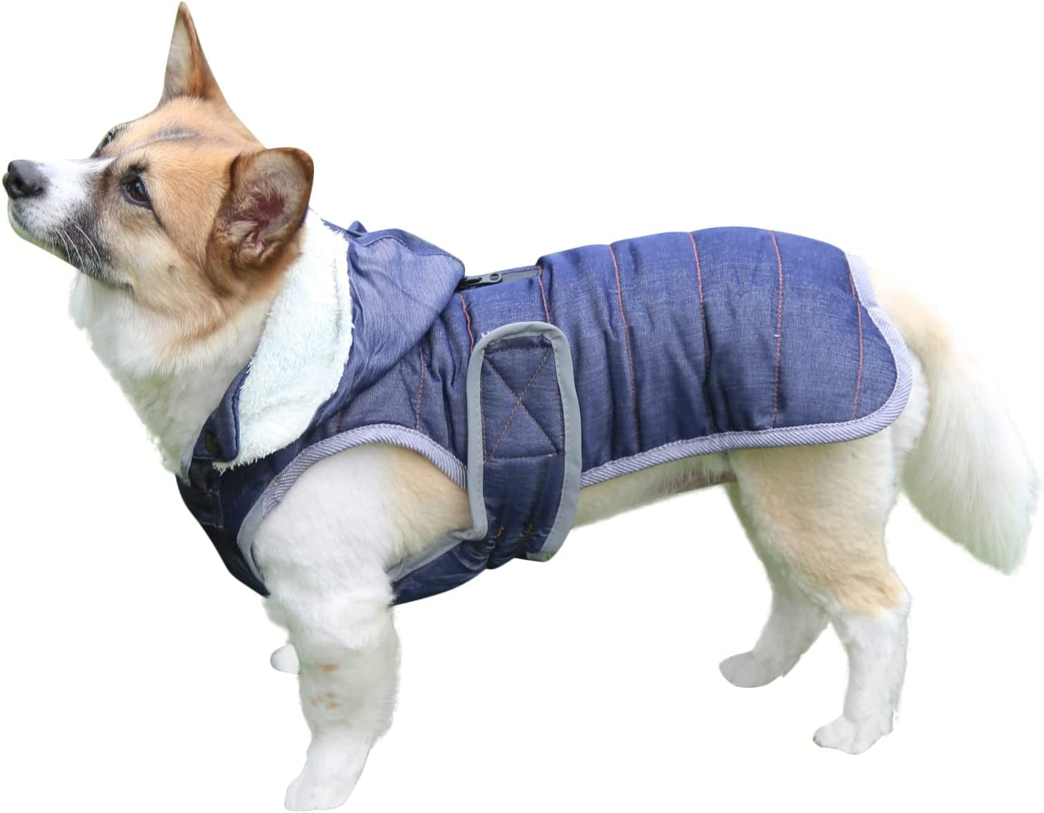 Joydaog Fleece Dog Hoodie for Medium Dogs Warm Puppy Jacket for Cold Winter Waterproof Dog Coats with Hood,Grey L Animals & Pet Supplies > Pet Supplies > Dog Supplies > Dog Apparel Qingwanke Dark Denim XX-Large (Pack of 1) 