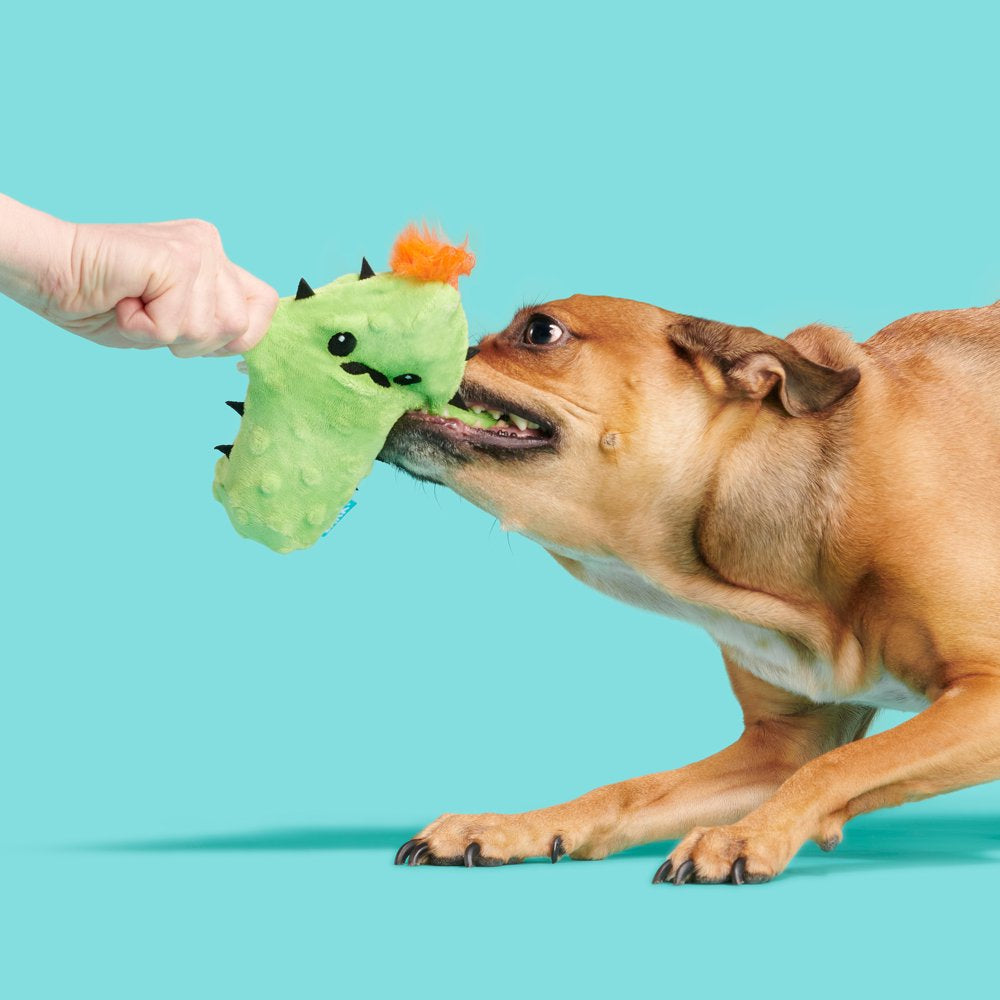 BARK Prickly Pete Dog Toy - Features Surprise Squeaker Toy, Xs to Small Dogs Animals & Pet Supplies > Pet Supplies > Dog Supplies > Dog Toys BARK   