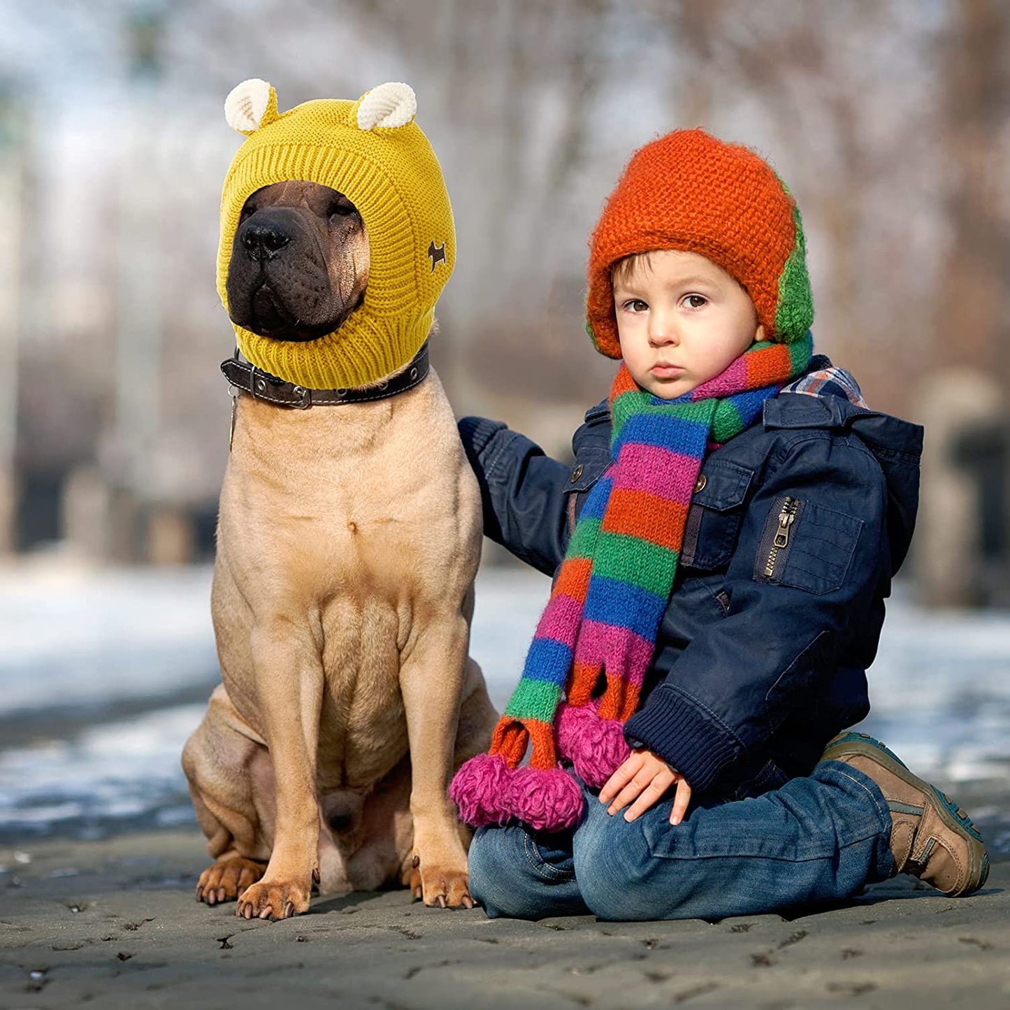 Quiet Ears for Dogs, Dog Ear Muffs Noise Protection Knitted Dog Hats Pet Ears Warm Dog Ear Cover Winter Hat Dog Snood Head Wrap Bunny Costume for Medium to Large Dogs Cats Pets (Yellow) Animals & Pet Supplies > Pet Supplies > Dog Supplies > Dog Apparel Frienda   