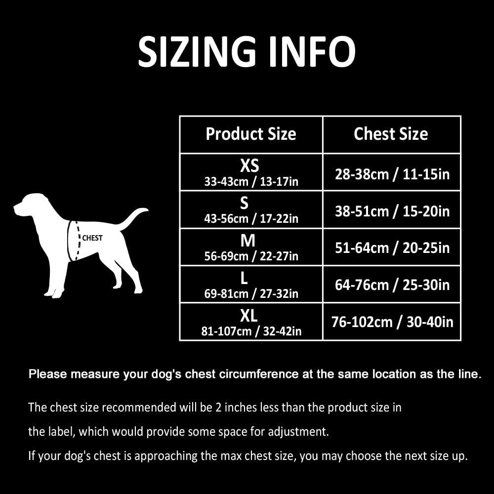 Truelove Dog Harness TLH5651 No-Pull Reflective Stitching Ensure Night Visibility, Outdoor Adventure Big Dog Harness Perfect Match Puppy Vest (Black,L) Animals & Pet Supplies > Pet Supplies > Dog Supplies > Dog Apparel JIN JIANG SHI PANG PO LUO SI XIE FU YOU XIAN GONG SI   