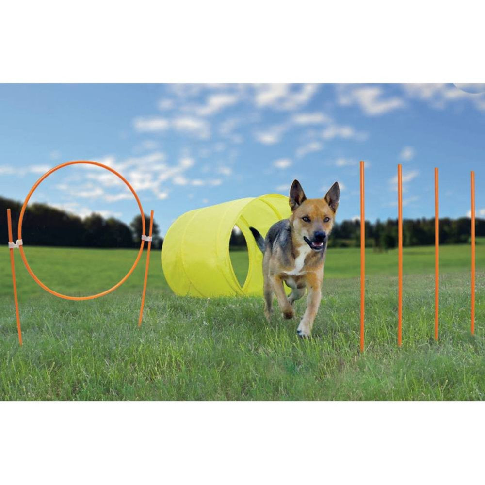 Outward Hound Dog Agility Starter Kit Outdoor Animals & Pet Supplies > Pet Supplies > Dog Supplies > Dog Treadmills Outward Hound   