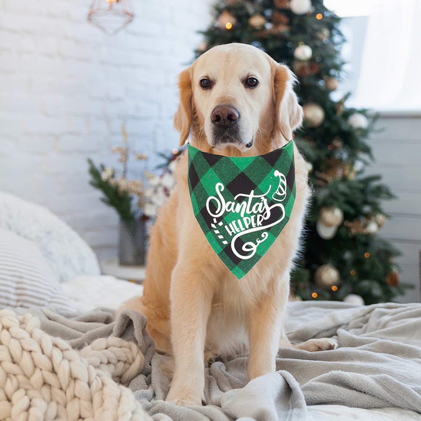 Christmas Dog Bandana Classic Plaid Pet Scarf Triangle Bibs Kerchief Merry Christmas Pet Bandana for Small Medium Large Dogs Cats Pets 2 Pack (Red & Green-2) Animals & Pet Supplies > Pet Supplies > Dog Supplies > Dog Apparel ADOGGYGO   