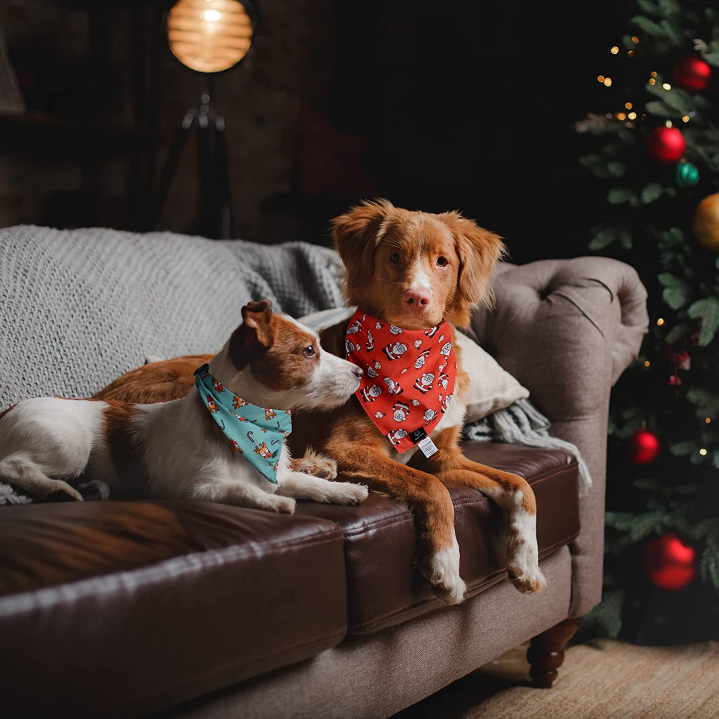 SHIBA LOGIC Christmas Dog Bandanas Pack of 2 - Xlarge - Reversible Dog Scarf Pet Bandana Puppy Bandana for Small Medium and Large Sized Girl and Boy Dogs - Holiday Themed Dog Apparel Accessories Animals & Pet Supplies > Pet Supplies > Dog Supplies > Dog Apparel Shiba Logic   