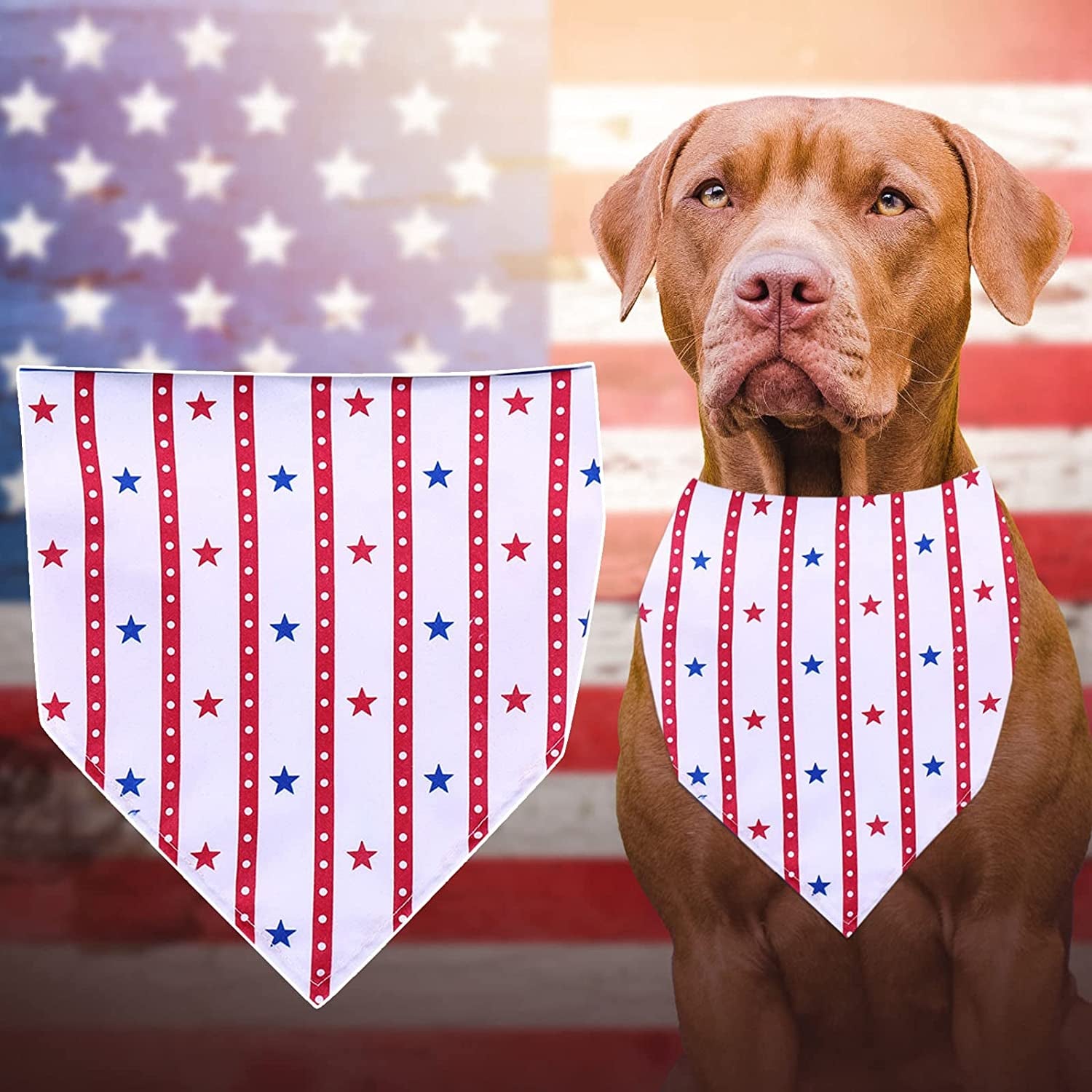 Dog Birthday Boy Bandana Pet Happy Birthday Party Independence Day Pet Bandana 1 PC USA Dog Bandanas Reversible Dog Bandanas Triangle Bibs Scarf for 4Th of Pet Dog Scarf Bandana for Dogs (C, One Size) Animals & Pet Supplies > Pet Supplies > Dog Supplies > Dog Apparel Generic   