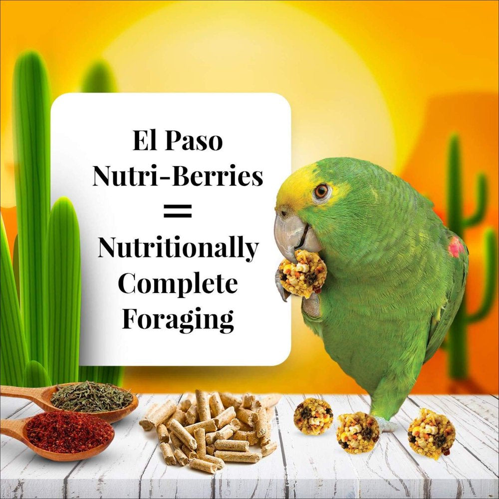 LAFEBER'S El Paso Nutri-Berries Pet Bird Food, Made with Non-Gmo and Human-Grade Ingredients, for Parrots 10 Oz Animals & Pet Supplies > Pet Supplies > Bird Supplies > Bird Food LAFEBER COMPANY   