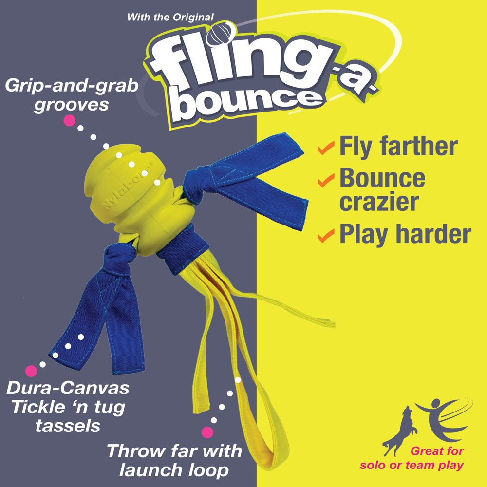 Nylabone Power Play Dog Fetch Toys Fling-A-Bounce Medium - 10 In. Animals & Pet Supplies > Pet Supplies > Dog Supplies > Dog Toys Central Garden and Pet   