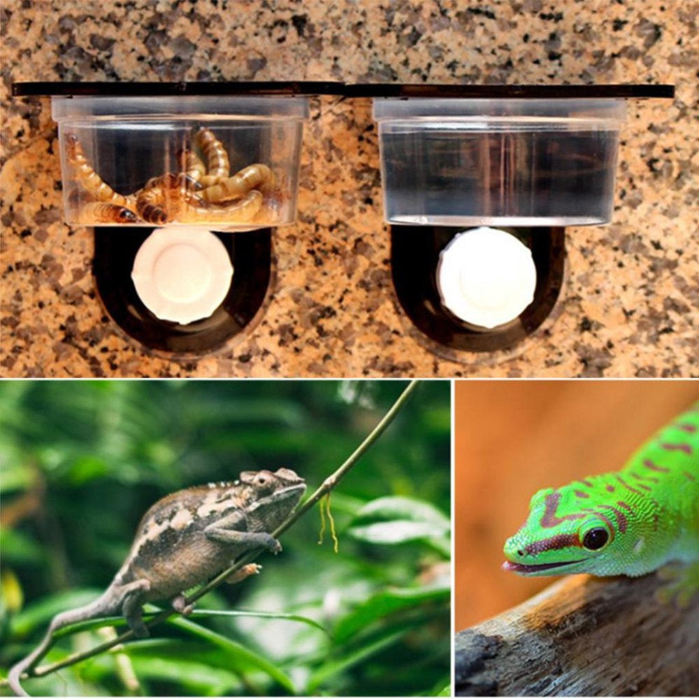 S Reptile Food Bowl Reptile Habitat Breeding Box, for Tortoise, , Crickets, Crabs, Other Reptiles Animal or Amphibians