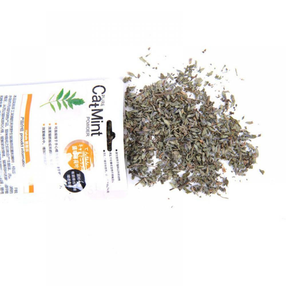 Forzero 10G Cat Mint Natural Organic Premium Catnip Cat Mint Menthol Flavor Cat Treats Funny Toy Animals & Pet Supplies > Pet Supplies > Cat Supplies > Cat Treats Forzero   