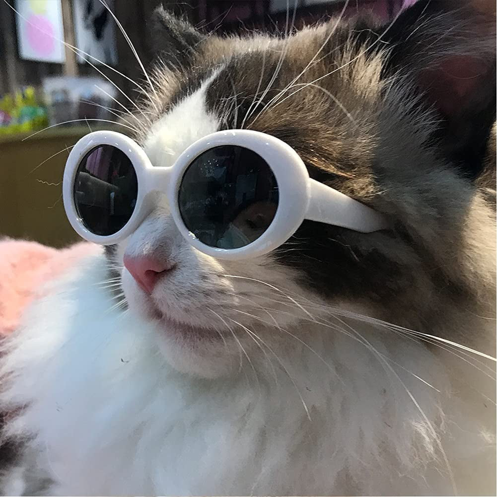 Cheeseandu 4Pairs Funny Cute Dog Cat Fashion Sunglasses Alien Camo Retro Eye-Wear Protection Puppy Cat Summer Beach Glasses Pet Photos Props for Small Dog Cat Animals & Pet Supplies > Pet Supplies > Dog Supplies > Dog Apparel CheeseandU   