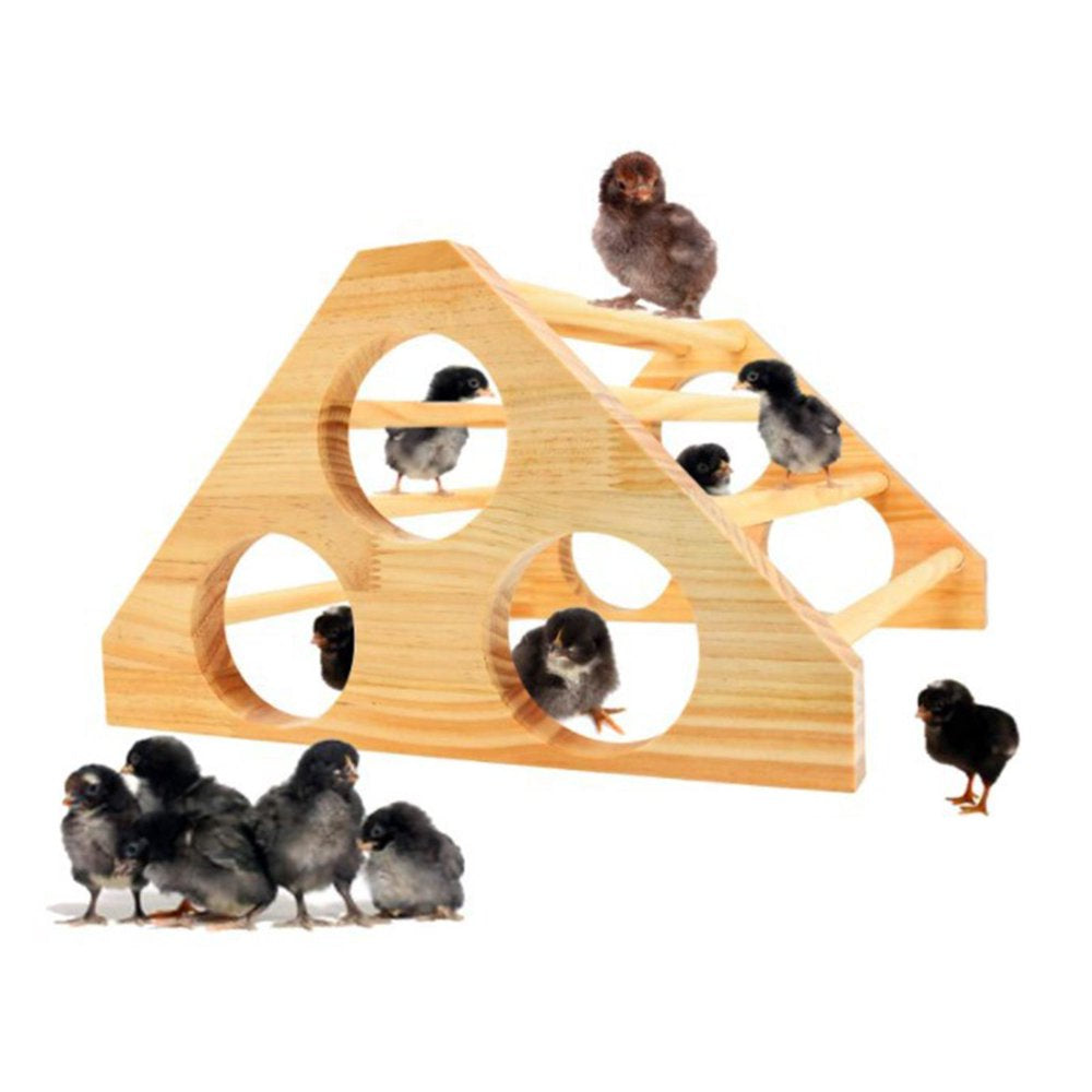 Bird Grinding Perch Table Platform Stands Playstand for Small Finch Training 3 Hole Animals & Pet Supplies > Pet Supplies > Bird Supplies > Bird Gyms & Playstands HOMYL   