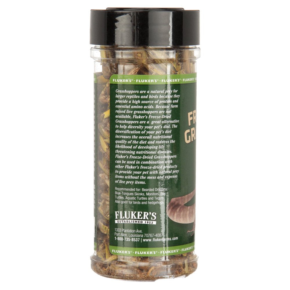 Fluker'S Freeze-Dried Grasshoppers Reptile Turtle Snake Lizard Food, 1 Oz Animals & Pet Supplies > Pet Supplies > Reptile & Amphibian Supplies > Reptile & Amphibian Food Fluker's   