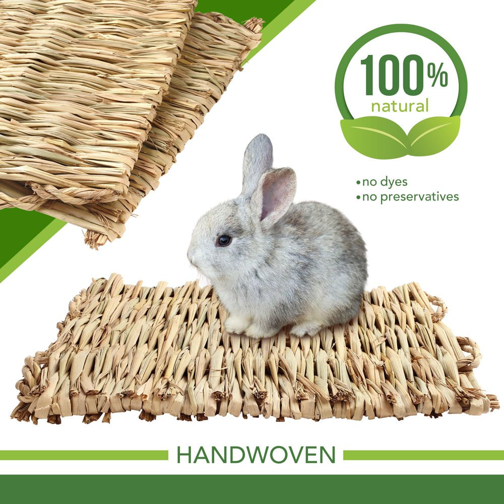 Lotfancy 3 Pack Grass Mat for Rabbits Bunny, Woven Hay Mat for Small Animals Animals & Pet Supplies > Pet Supplies > Small Animal Supplies > Small Animal Bedding LotFancy   