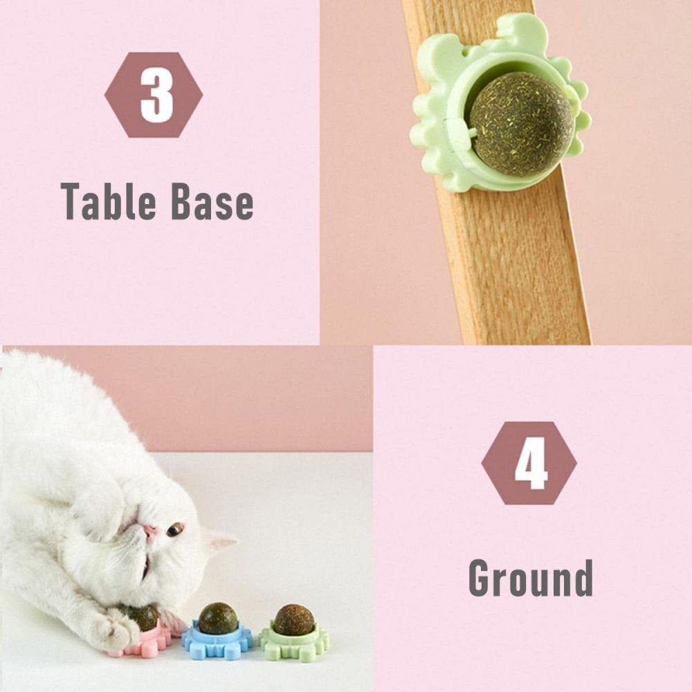 Catnip Squash Edible Cat Toys Cat Lick Ball Teeth Cleaning Catnip Toys for Cats, Natural, Fun and Engaging Play 3 Pack Animals & Pet Supplies > Pet Supplies > Cat Supplies > Cat Treats Ugerlov   