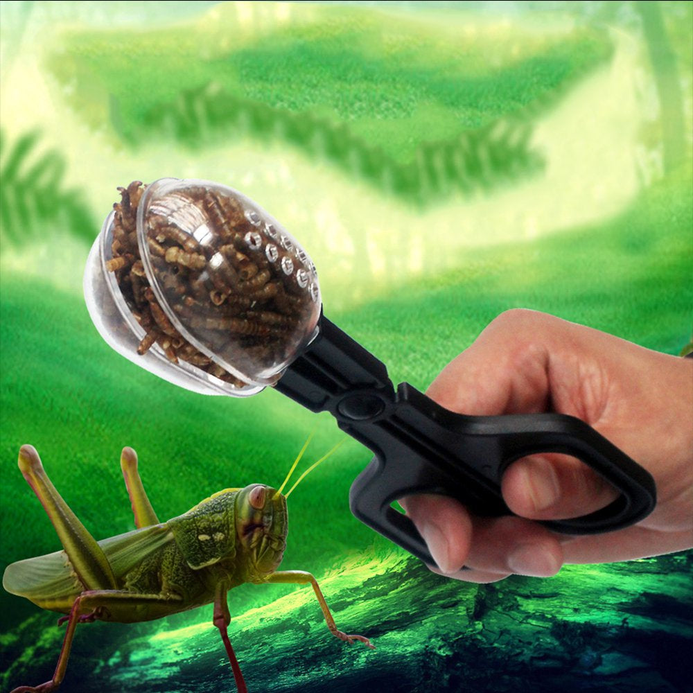 Reptiles Feeding Tweezers Reptile Feeding Scooper Clamp Pet Insects Catch Clamp Animals & Pet Supplies > Pet Supplies > Reptile & Amphibian Supplies > Reptile & Amphibian Food VHUNT   