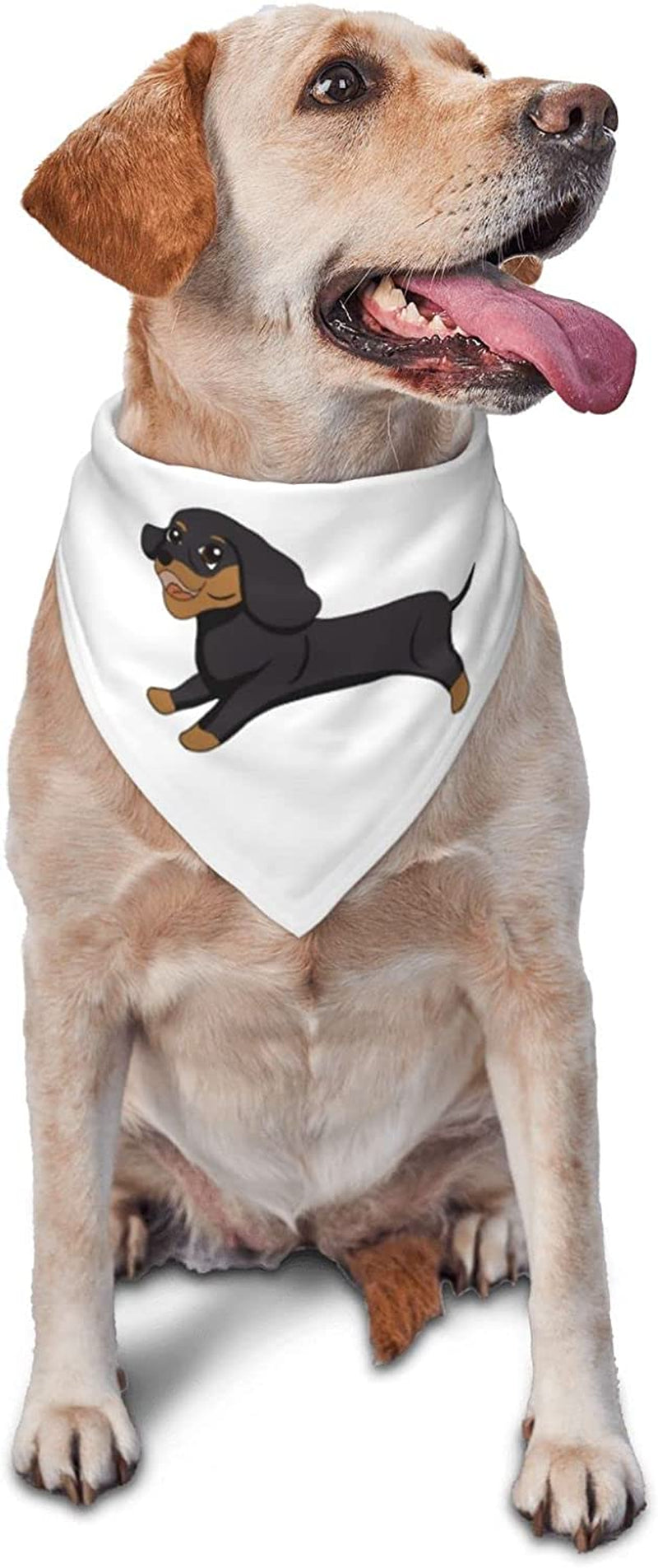 Dachshund on the Run Pet Dog and Cat Decorative Triangle Scarf,Dog Bandana,Breathable and Stain Resistant. Animals & Pet Supplies > Pet Supplies > Dog Supplies > Dog Apparel ZALTAS   