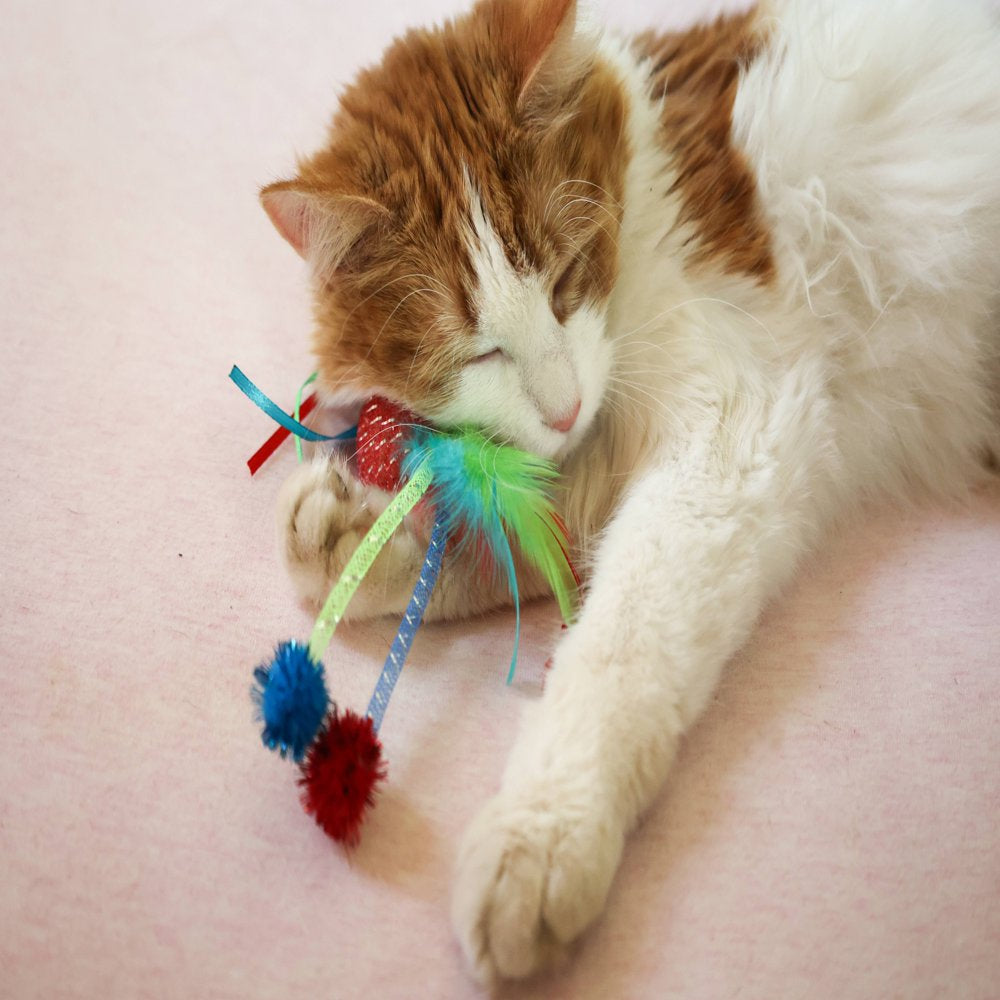 Vibrant Life Mesh Feather Ball Cat Toy, Color May Vary Animals & Pet Supplies > Pet Supplies > Cat Supplies > Cat Toys Multipet   