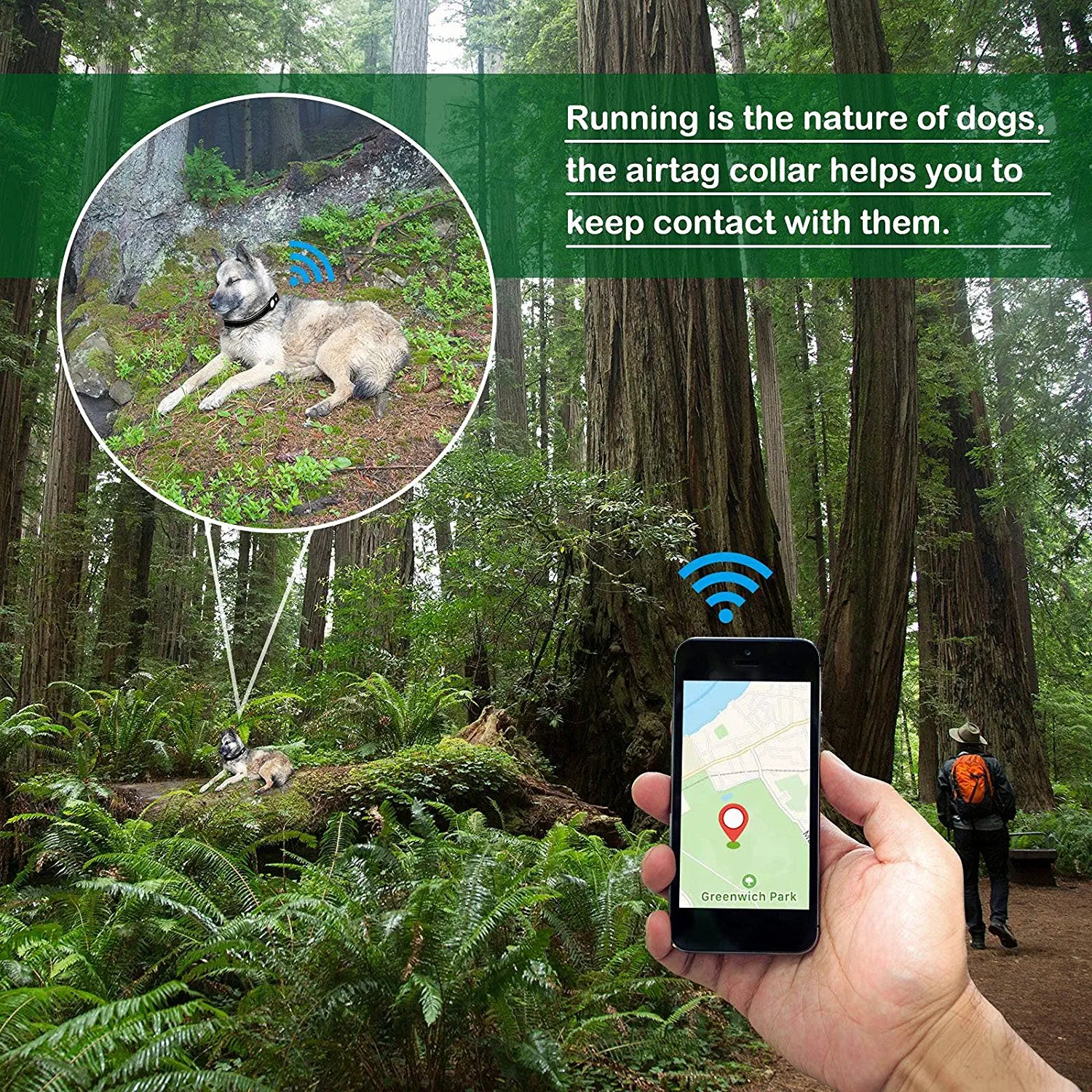 Airtag Dog Collar, PETNANNY Reflective Dog Collar with Airtag Holder Case, Padded Heavy Duty Dog Collar for Airtag, Adjustable Air Tag Pet Collar for Medium Large Dogs (Black, XL(19-22")) Electronics > GPS Accessories > GPS Cases PETNANNY   