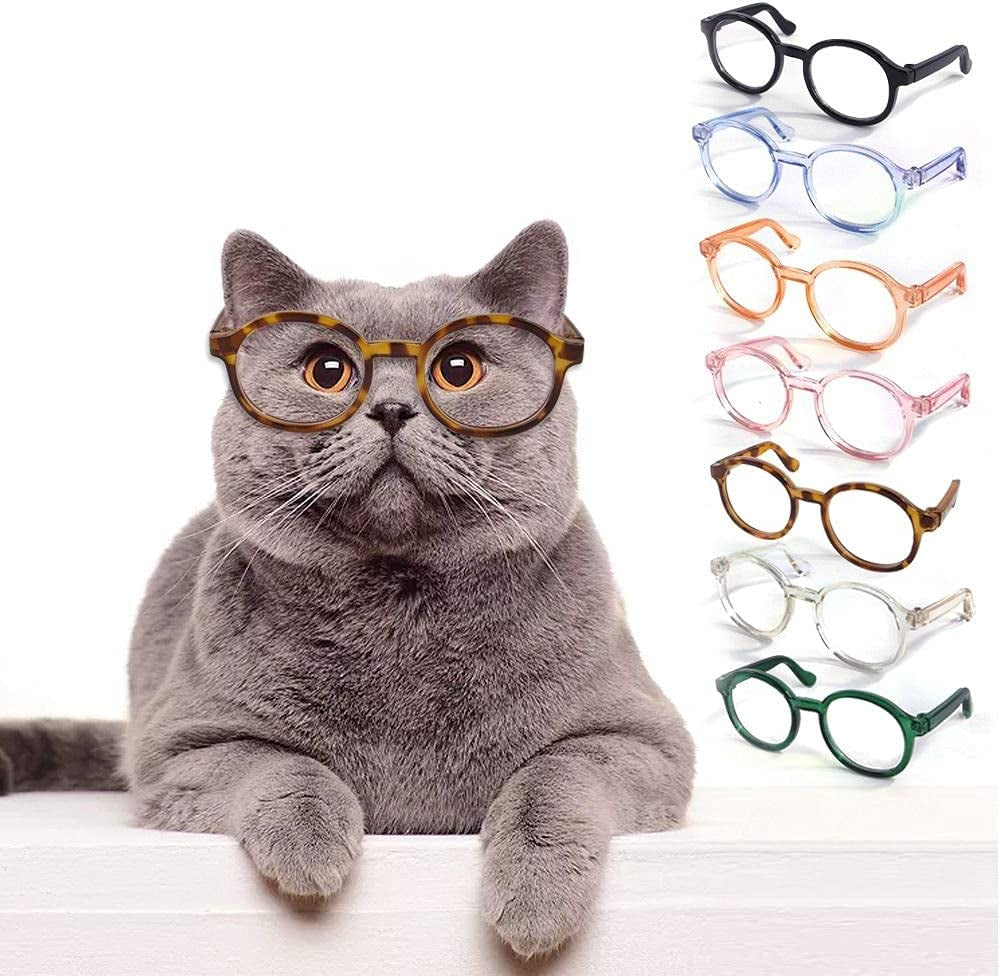 Plastic Dog Glasses, Transparent Dog Sunglasses Lovely Pet Glasses Creative Cat Eye-Wear, Pet Photos Props Pets Party Decor Accessories(Leopard) Animals & Pet Supplies > Pet Supplies > Dog Supplies > Dog Apparel generic   