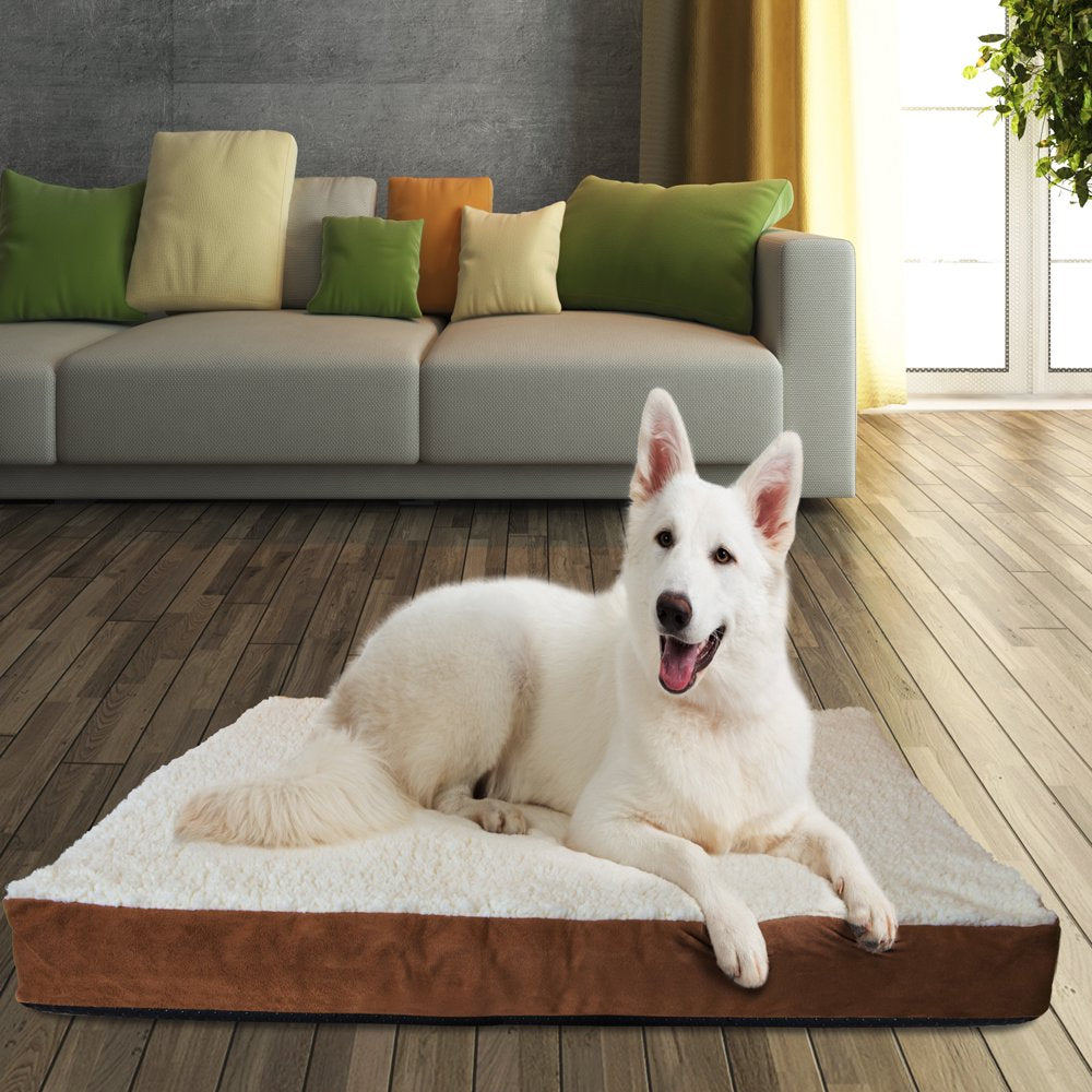 Paws & Pals Orthopedic Pet Bed Foam-Mattress Dogs and Cats (Medium 30 Long X 20 Wide) Animals & Pet Supplies > Pet Supplies > Cat Supplies > Cat Beds Paws & Pals   