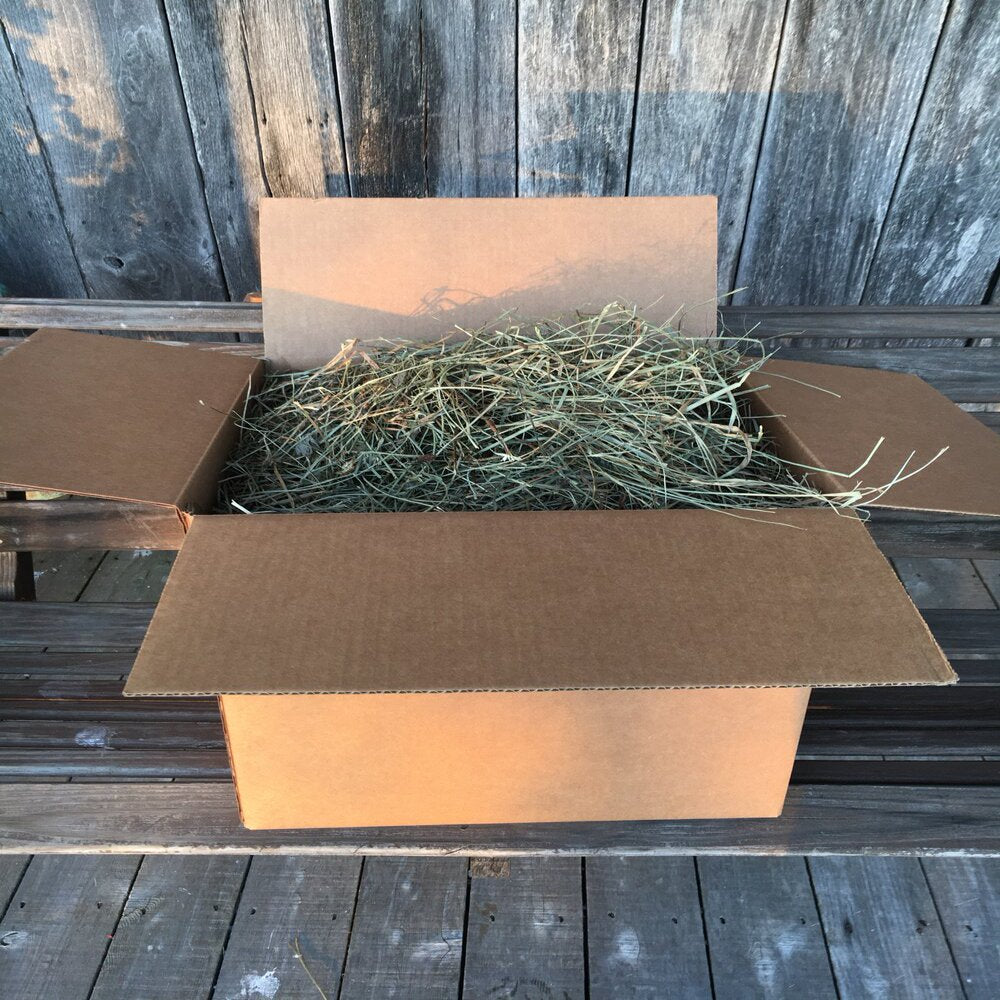 Taul Farms Certified Organic Premium Orchard Grass Clover Hay for Rabbits & Small Pets Animals & Pet Supplies > Pet Supplies > Small Animal Supplies > Small Animal Food Taul Farms 10 lbs  